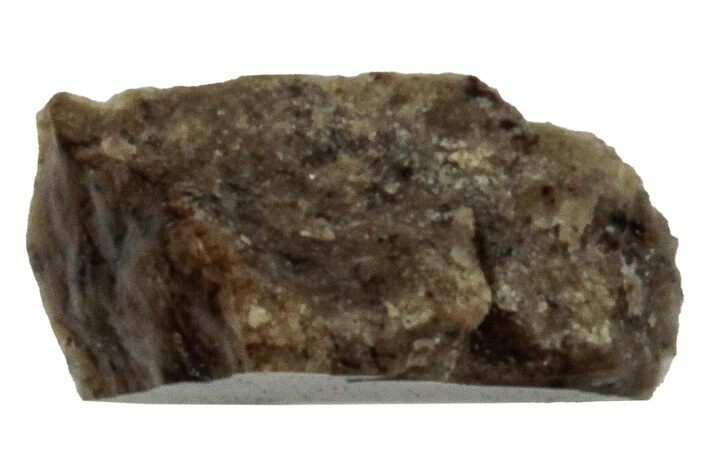 Rare, Lunar Basaltic Breccia Meteorite Fragment - NWA #308455